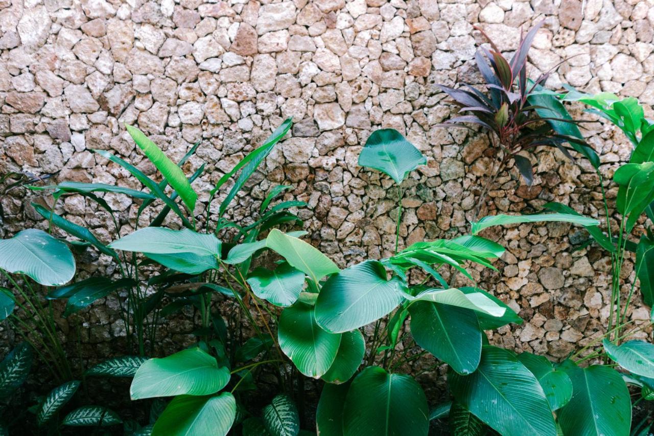 Mana Eco Retreat Hotell Kuta  Eksteriør bilde